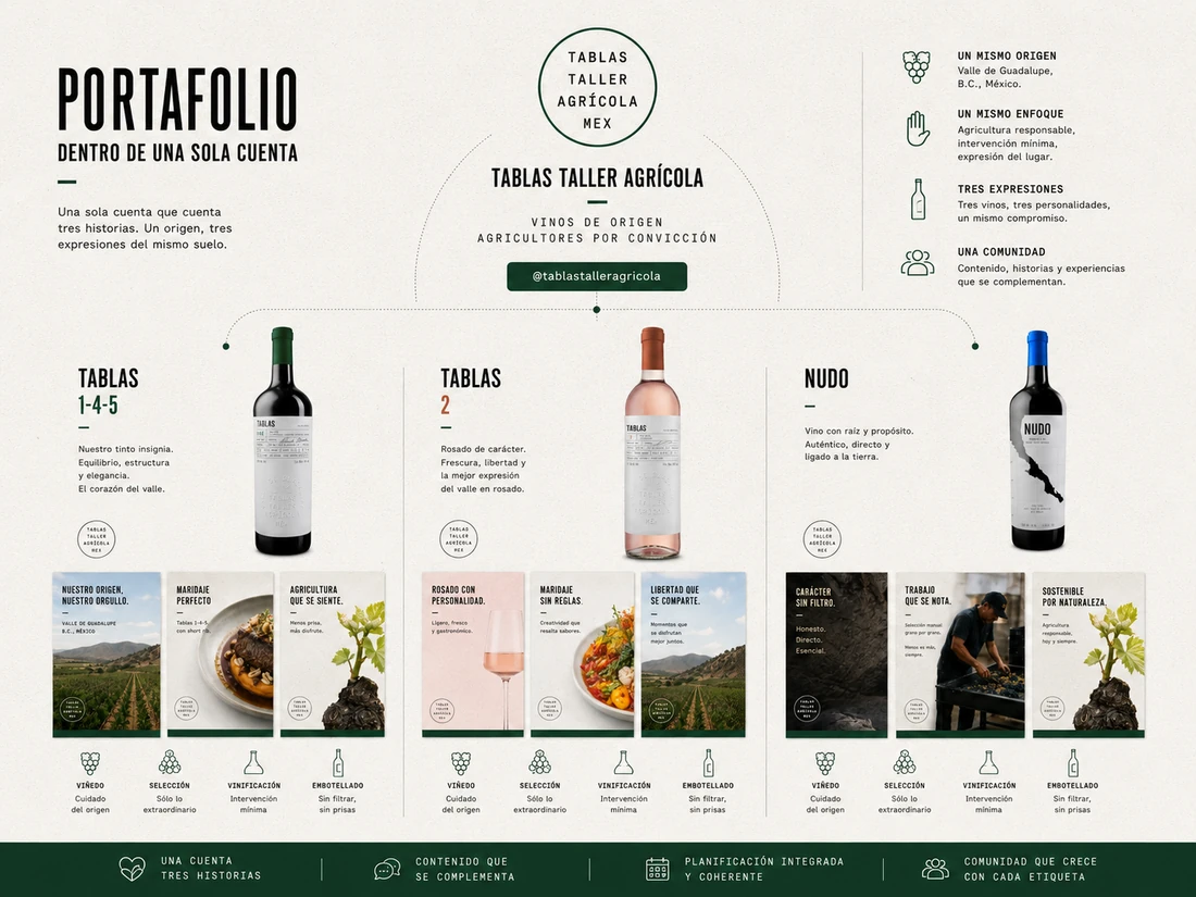 Infografía · portafolio dentro de una sola cuenta: Tablas 1-4-5, Tablas 2 Rosé y Nudo, un mismo origen y tres expresiones